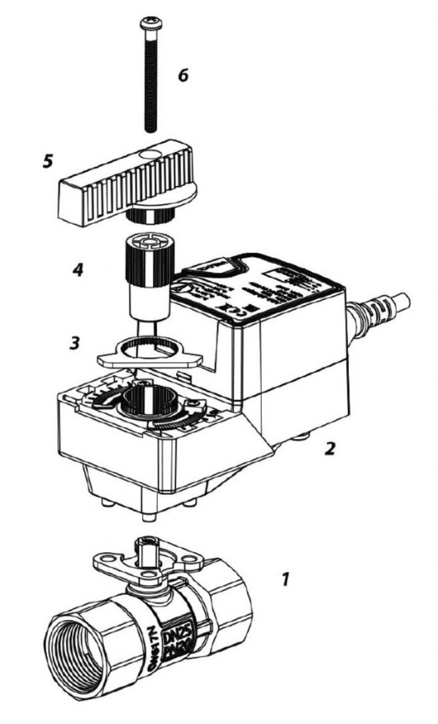 ADA-BV-MONT-619x1024.jpg