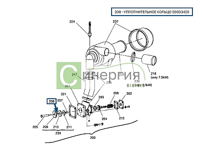 Уплотнительное кольцо 59003420 HITACHI